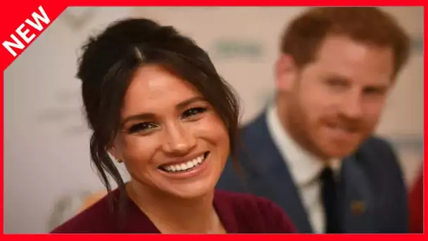 ✅  Meghan Markle grassement payée pour du doublage ? Les conditions de son dernier deal