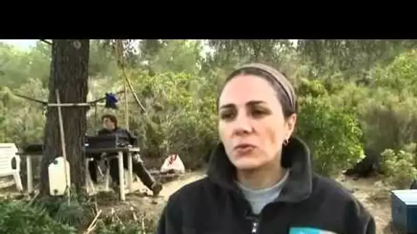 Les oiseaux migrateurs sur l&#039;île de Porquerolles.