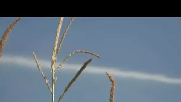 Sécheresse : la course à l'eau • FRANCE 24