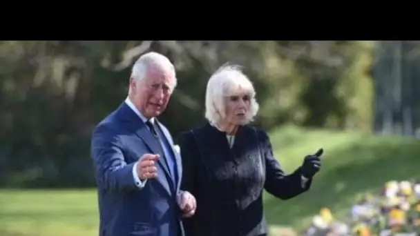 Prince Charles et Camilla Parker-Bowles : leur supposé fils caché en remet une couche