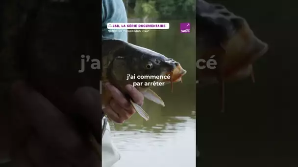 Comment conjuguer la pêche et l'amour des poissons ? 🐟