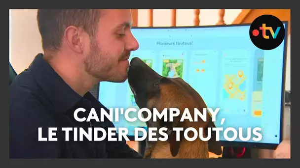 Cani'Company, le Tinder pour chiens : "Plus il va faire de rencontres, mieux il va être"