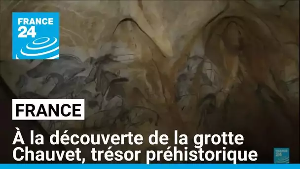 France : à la découverte de la grotte Chauvet, trésor préhistorique • FRANCE 24