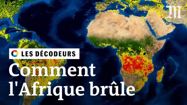 Les incendies en Afrique et en Amazonie sont-ils comparables ?