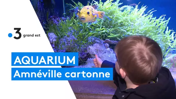 L'aquarium d'Amnéville a la cote