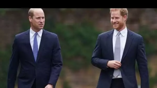 William fait une remarque rare sur le prince Harry au milieu d'une relation glaciale entre le couple