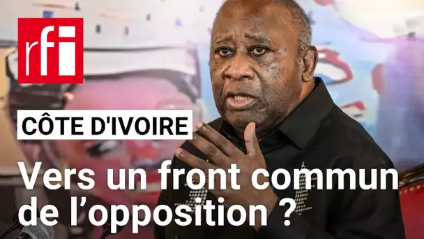 Côte d'Ivoire : quelles sont les chances de l’opposition face à Alassane Ouattara ? • RFI