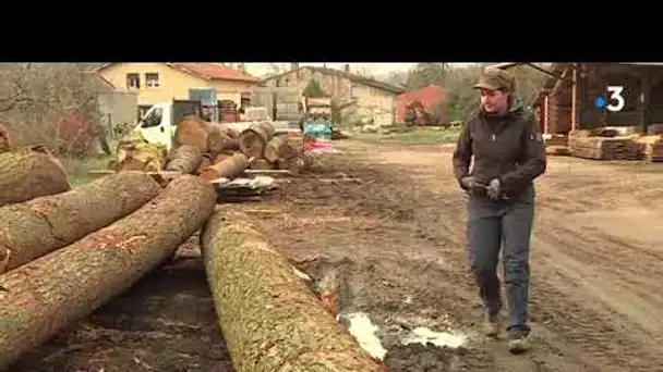 Le bois en héritage pour Laure Ferré qui a repris la scierie familiale à Lavaur dans le Tarn