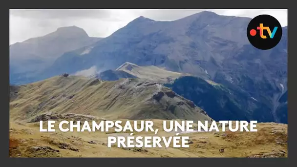 Vu d'ici : le Champsaur, une nature préservée