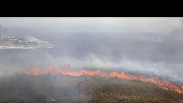 Incendies en Sicile, Palerme touchée : au moins 2 morts