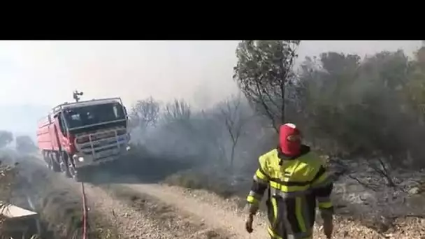 France : un incendie parcourt 110 hectares de végétation dans les Bouches-du-Rhône