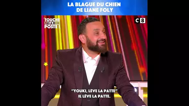 La blague du chien de Liane Foly