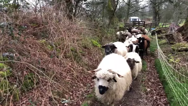 « Tous les chemins mènent à vous » à Saint-Sulpice-les-Feuilles en Haute-Vienne (87)