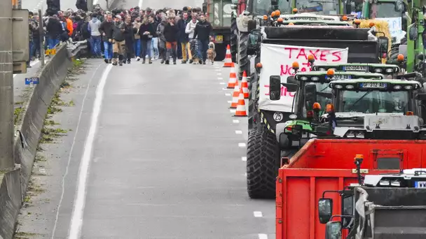 L'Alsace donne le feu vert à une taxe pour les poids lourds, les agriculteurs en colère