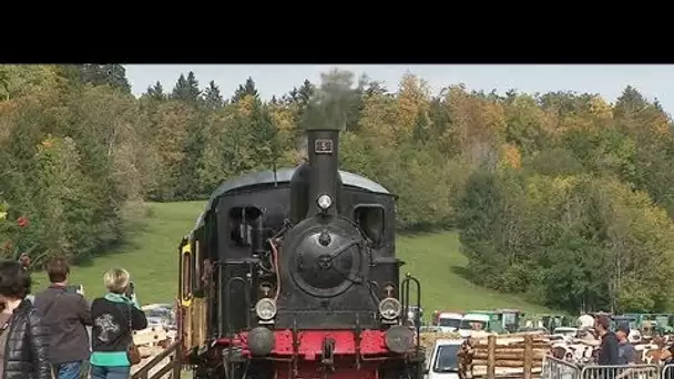 Haut-Doubs : Un troupeau de vaches voyage à bord d'un train à vapeur