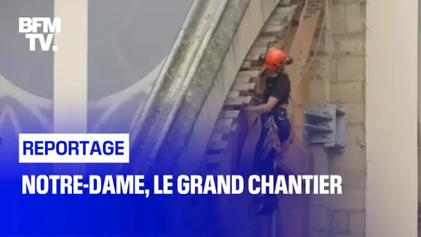 Notre-Dame, le grand chantier