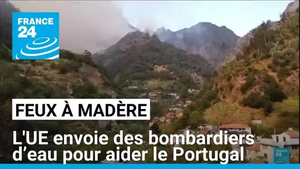 Feux à Madère : 2 canadair de l'UE envoyés pour aider le Portugal • FRANCE 24