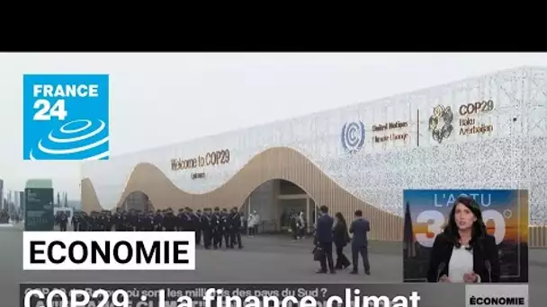 La finance climat, enjeu-clé des négociations à la COP29 de Bakou • FRANCE 24