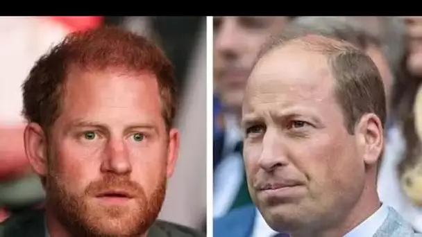 Les « vraies » réflexions du prince William sur l’accord Netflix du prince Harry dévoilées