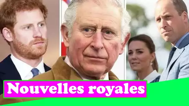 Charles suit l'exemple de Kate, William et Harry pour plaider la crise « catastrophique »