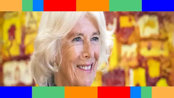 Camilla Parker Bowles coquine  sa passion pour le ménage… dans le plus simple appareil