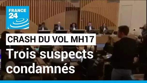 Procès du crash du vol MH17 : trois suspects condamnés à la perpétuité, un quatrième acquitté