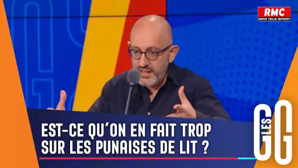 Punaises de lit : "Rien à voir avec la propreté !"