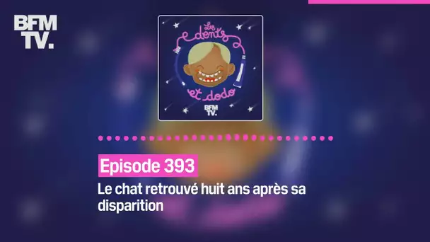 Les dents et dodo - Episode 393: le chat retrouvé huit ans après sa disparition