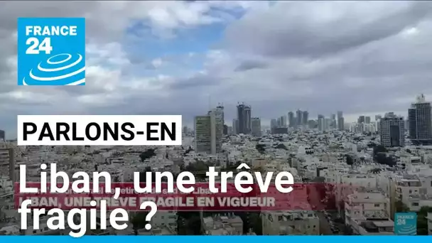 Liban, une trêve fragile ? Parlons-en avec B. Nabli, D. Rigoulet-Roze, B. Daroux et S. Berberi