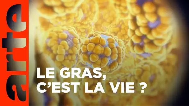 À la recherche du bon gras | ARTE