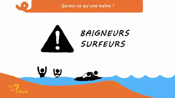 Les ? de Noa #80 : qu'est ce qu'une baïne ?