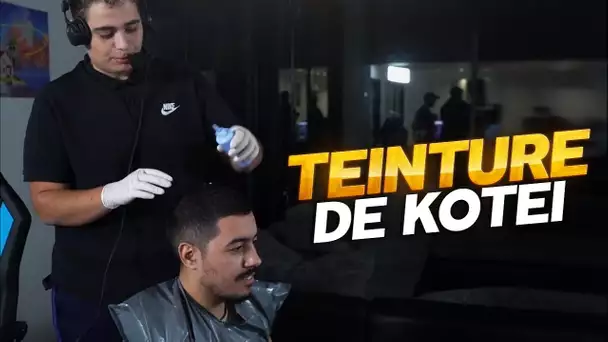 LA TEINTURE DÉSASTREUSE DE KOTEI PAR KAMEL