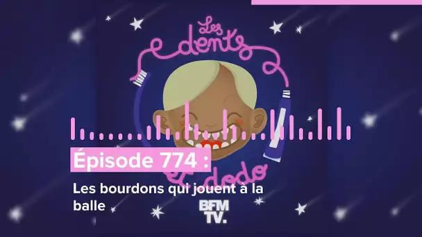 Les dents et dodo - “Épisode 774 : Les bourdons qui jouent à la balle”