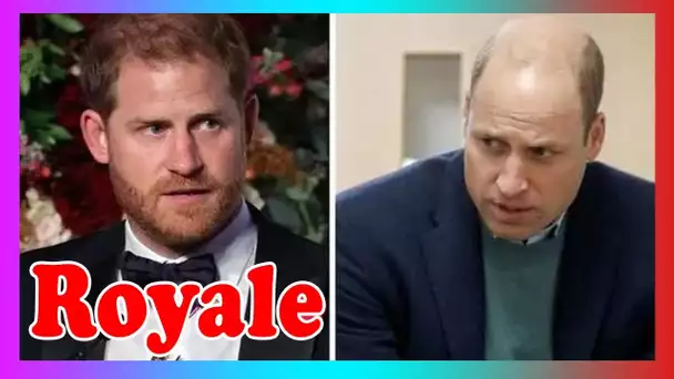 Le prince Harry à propos de la riv@lité fraternelle entre lui et William: ''C'était très jaloux''