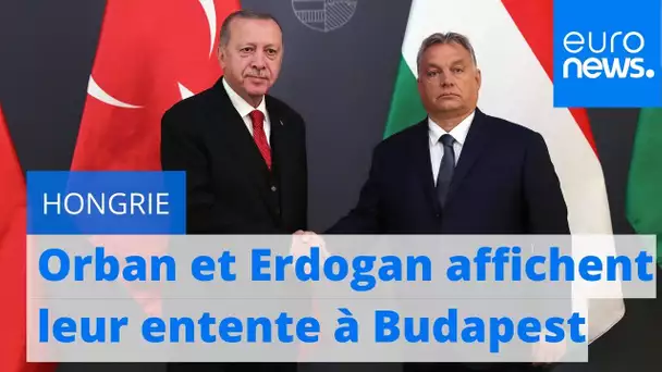 Erdogan accueilli par Orban à Budapest, une semaine après Poutine