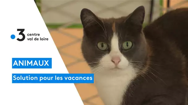 Saint-Hilaire-les-Andresis : une solution pour garder ses animaux pour les vacances