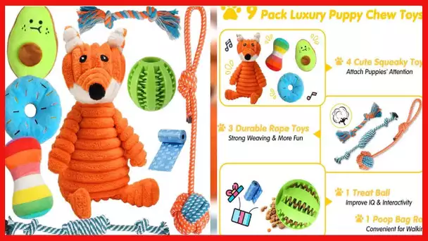 Zeaxuie 9 Pack Luxury Puppy Toys for Teething Small Dogs, Puppy Chew Toys with Cute Squeaky Toys