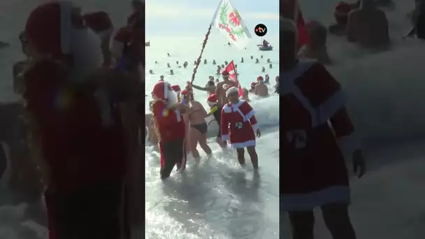 Le traditionnel bain de Noël de Nice réunit plus de 300 personnes dans une eau à 16 degrés.