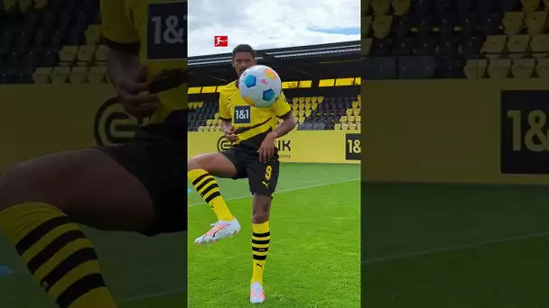 😅 Quand Haller utilise la nouvelle technique de clonage !#bundesliga #shorts