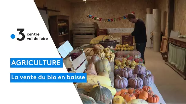 La baisse des ventes de produits d'agriculture bio inquiète les professionnels