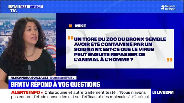 Le virus peut-il passer de l'animal à l'homme? BFMTV répond à vos questions