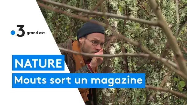 Guillaume Mouton lance un nouveau magazine pour se rapprocher de la nature