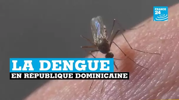 République dominicaine, retour de la dengue