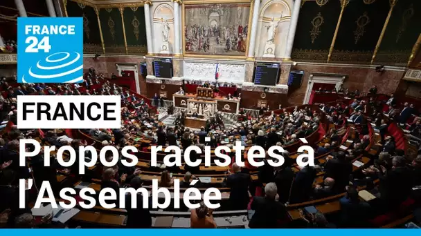 "Qu'il(s) retourne(nt) en Afrique" : séance interrompue à l'Assemblée après des propos racistes