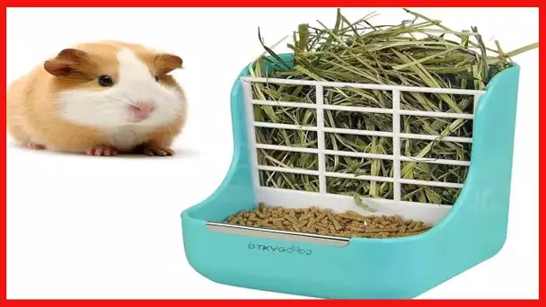 2 in 1 Food Hay Feeder for Guinea Pig, Rabbit Feeder, Indoor Hay Feeder for Guinea Pig, Rabbit