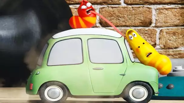 LARVA | Petite voiture | Dessins Animés Pour Enfants | WildBrain