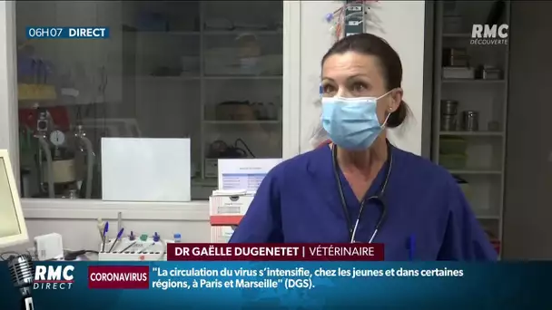 Canicule: les animaux aussi sont en souffrance rappelle Gaëlle Dujeneté, vétérinaire à Lyon