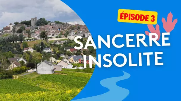 Sancerre insolite : "Jurassic Tour", un circuit géologique - épisode 3/4