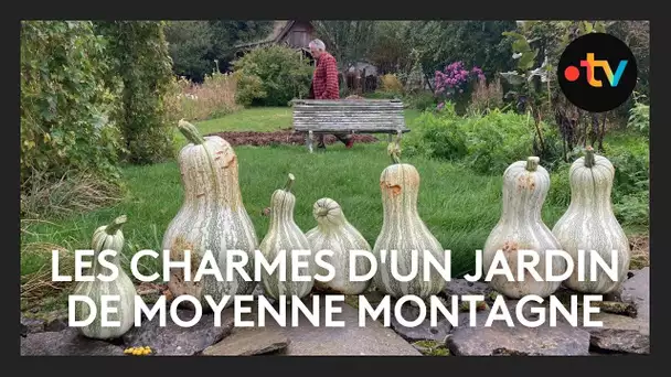 A la découverte des charmes d’un jardin de moyenne montagne