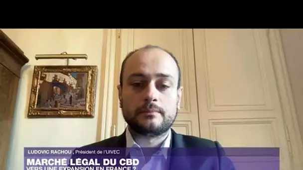 Marché légal du CBD : vers une expansion en France ?